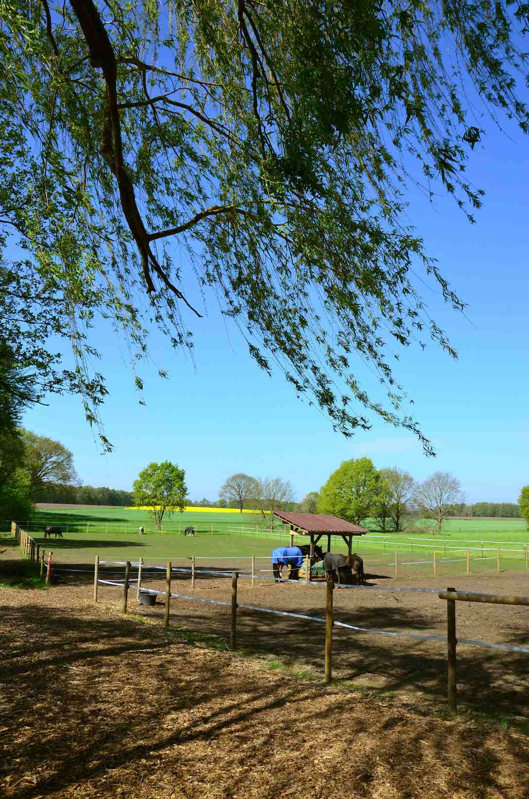 Auslaufflächen für Beritt