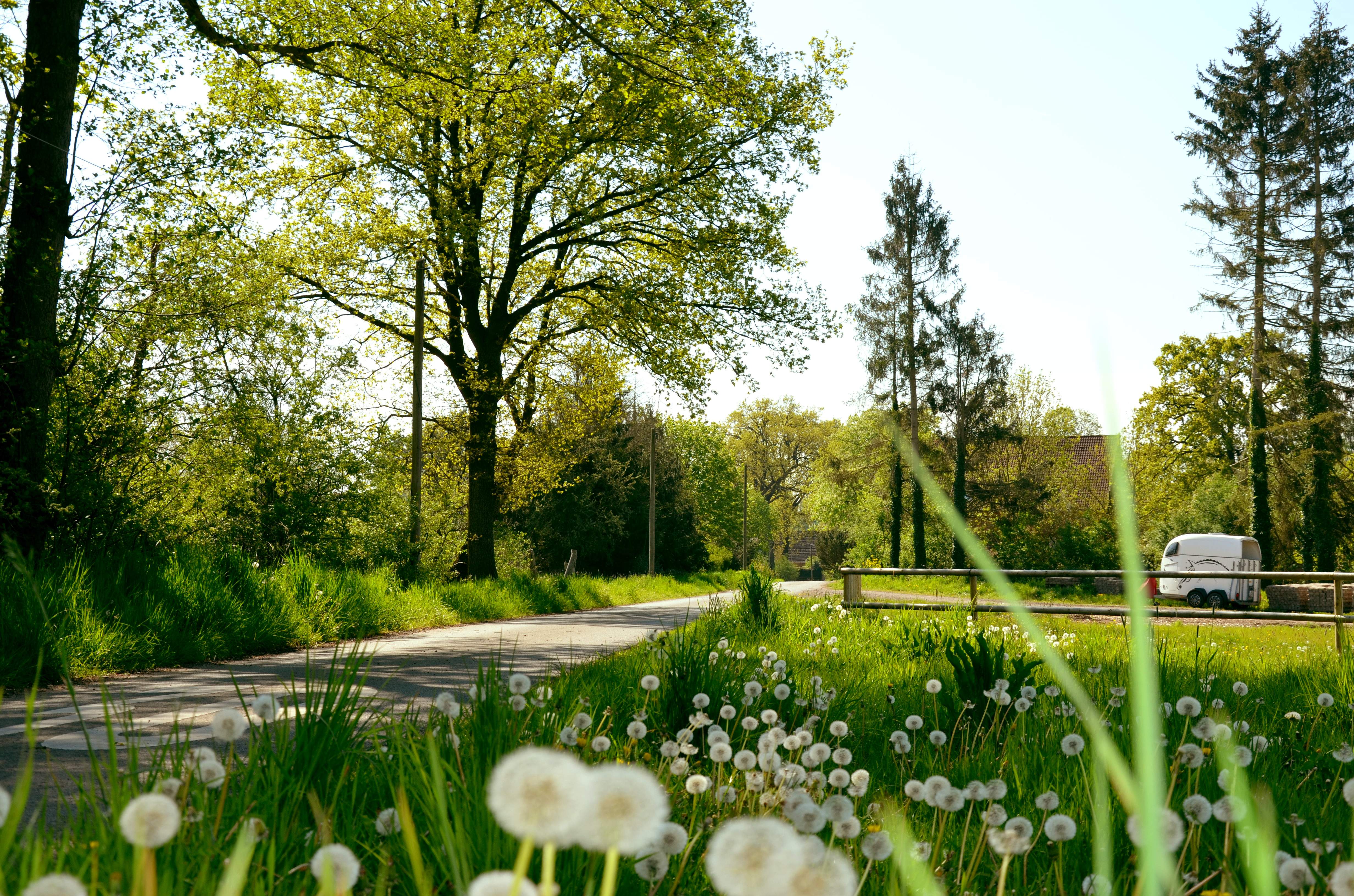 Aussenflächen für Berittponys