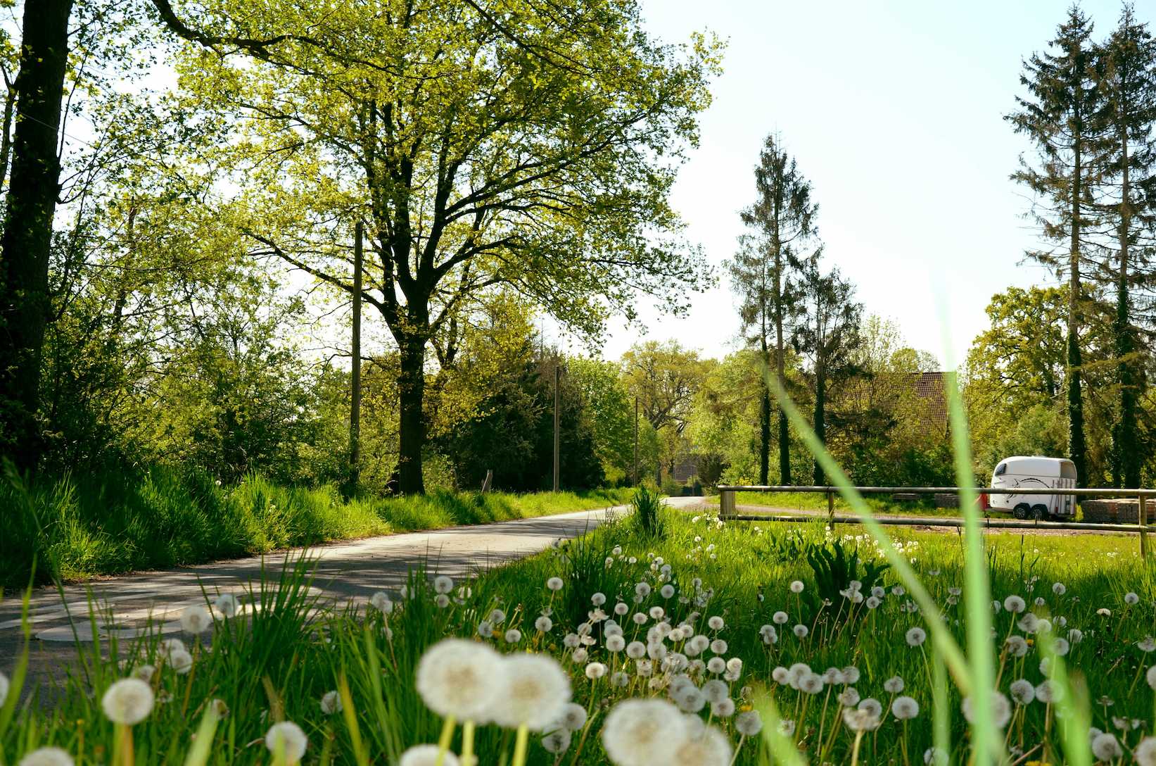 Aussenflächen für Berittponys