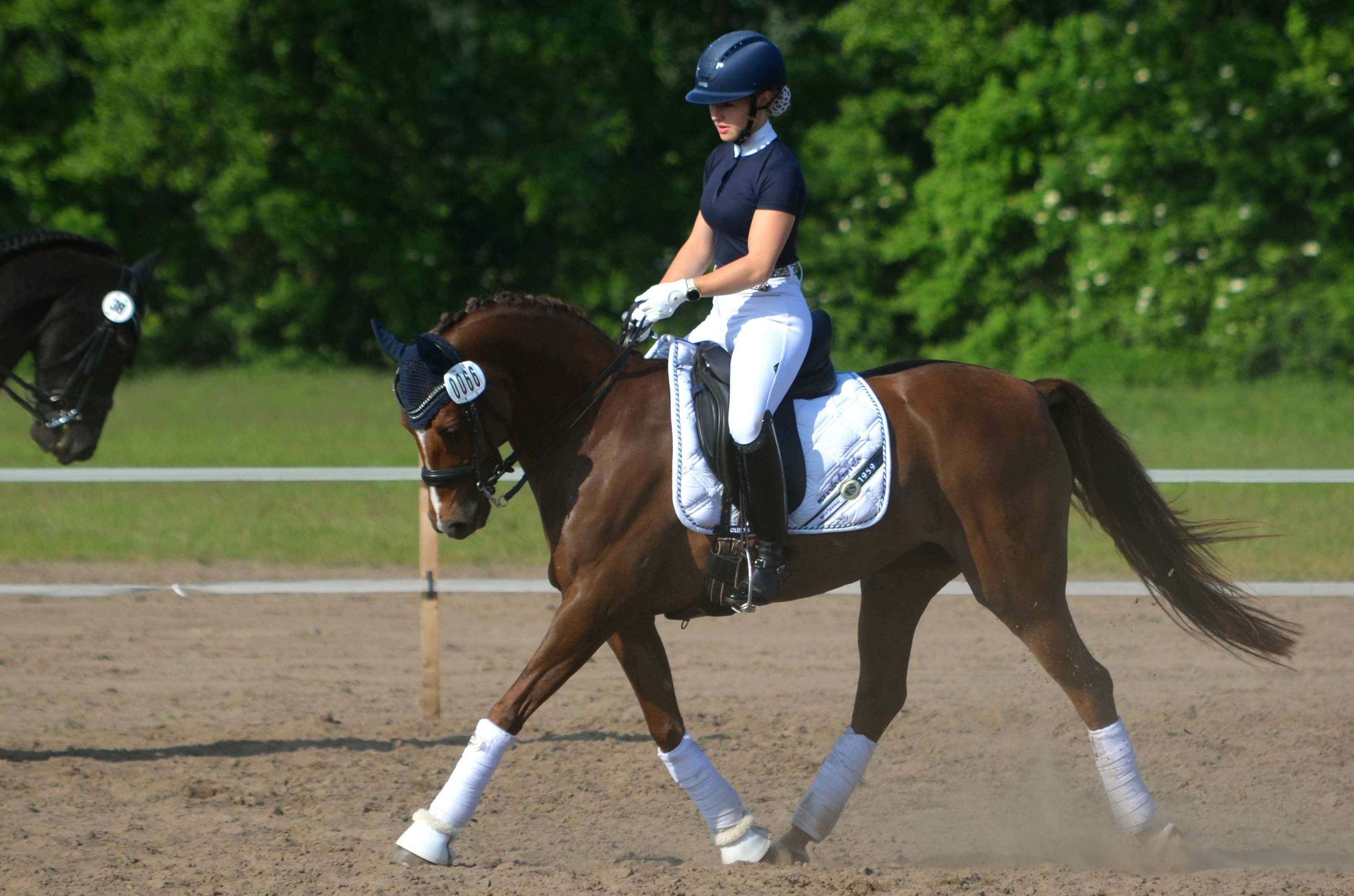 Pony auf einem Turnier
