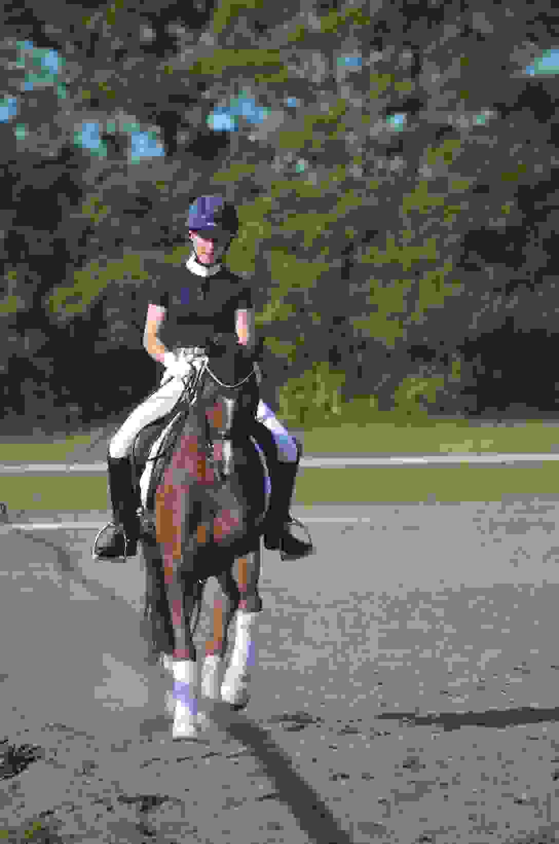 Pony auf Turnier