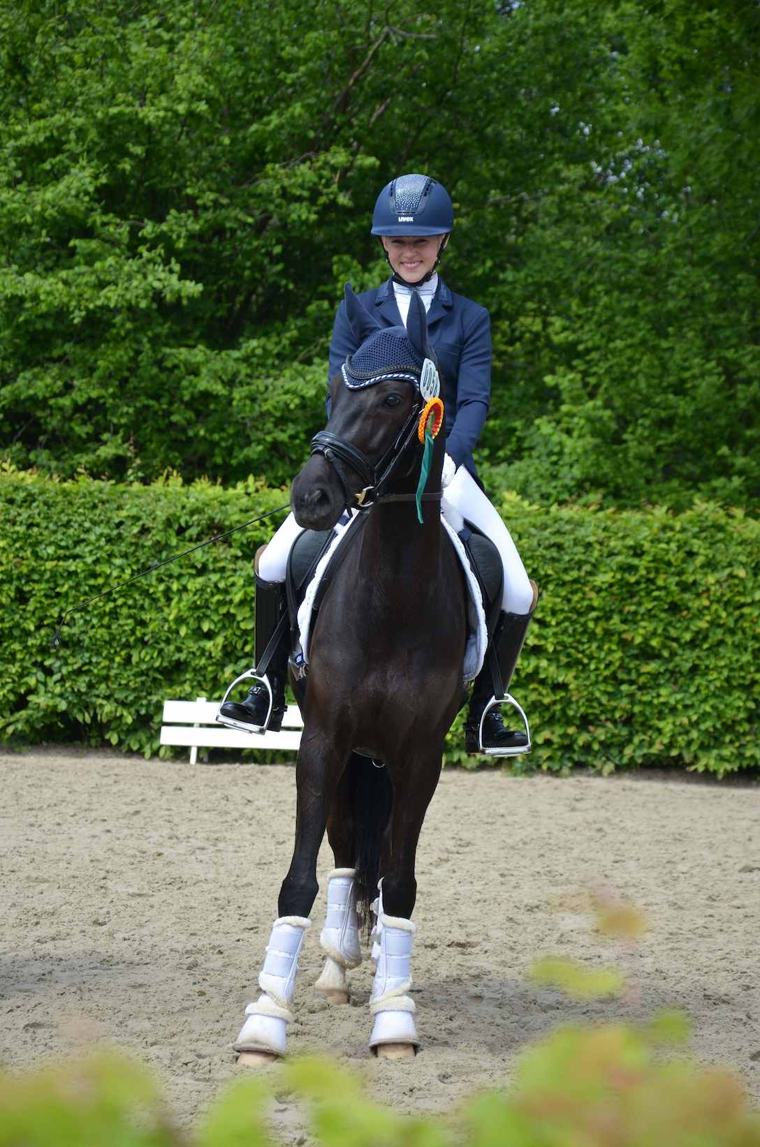 Erfolgreiches Pferd bei Siegerehrung