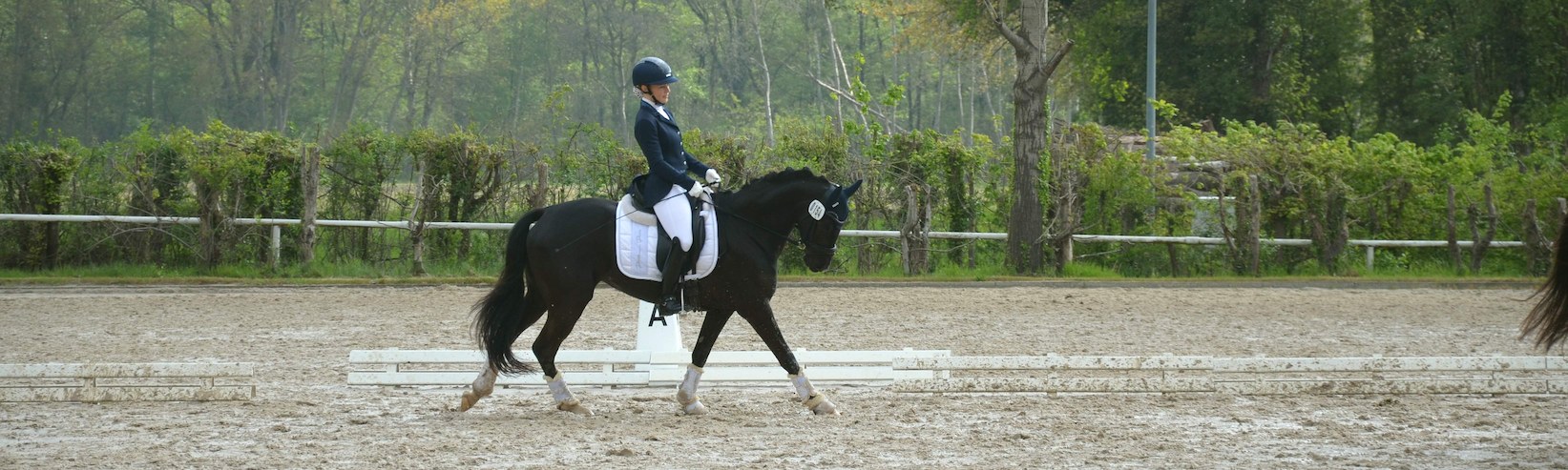 Berittpony Reiten