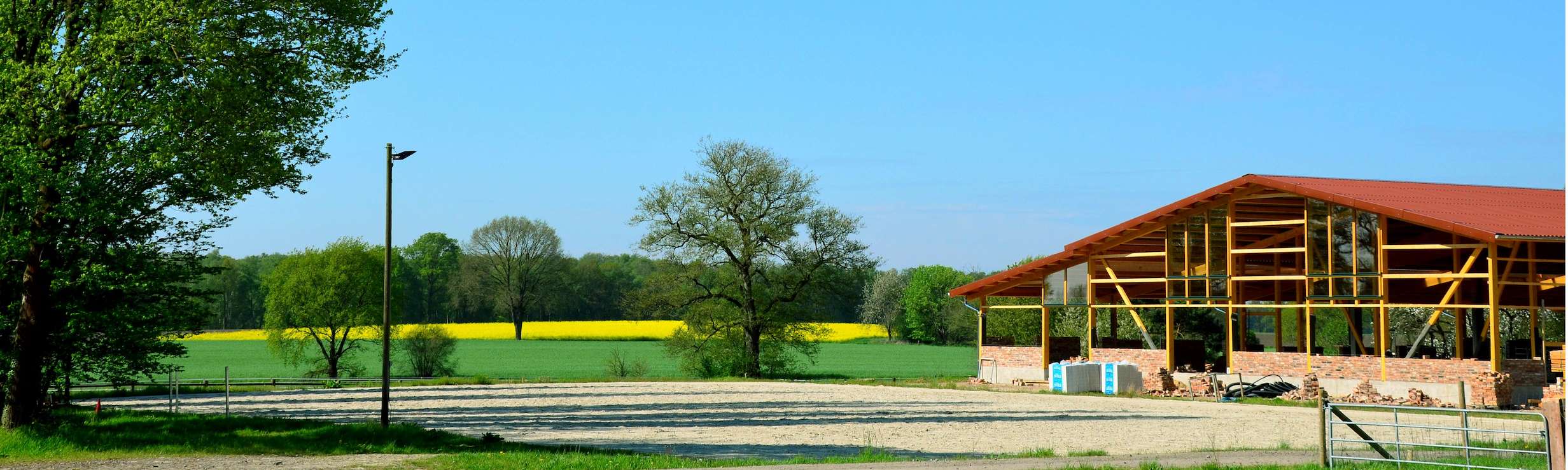Freilauffläche auf dem der Beritt stattfindet
