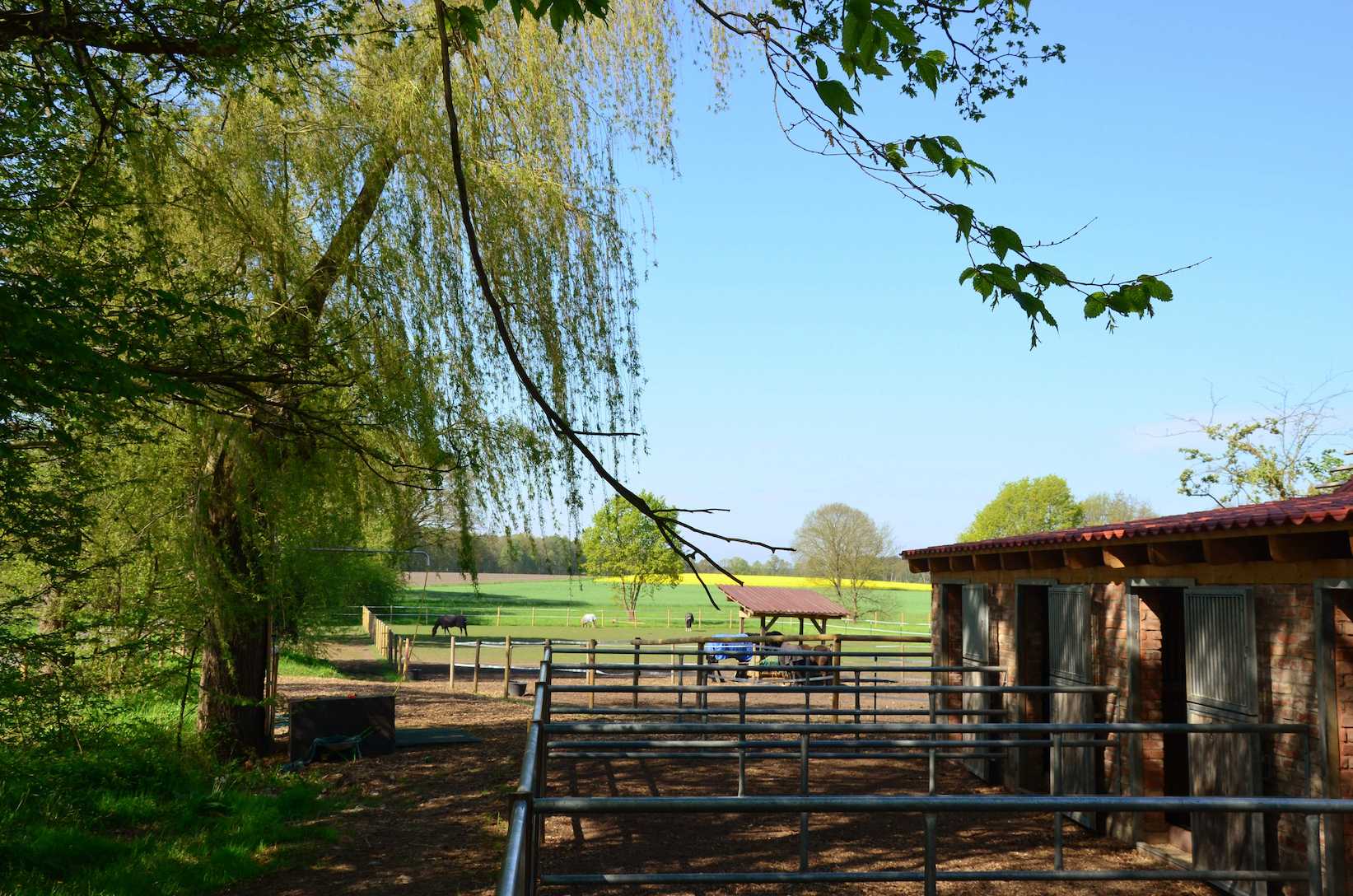 Stall mit Wiese und großem Auslauf