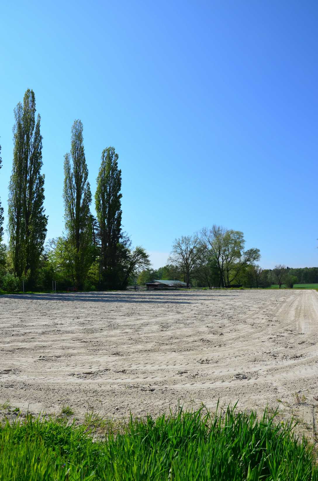 Auslauf für die Berittpferde